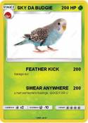 SKY DA BUDGIE