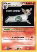 coffe pup