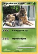 berger allemand