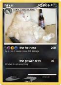 fat cat 111