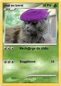 chat en beret