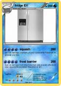fridge EX