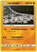 1000 Sheeps