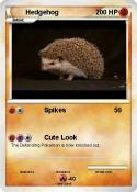 Hedgehog