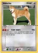 Shiba Inu