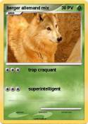 berger allemand