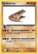 The Wood frog