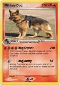 Millitary Dog
