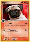 Pug EX