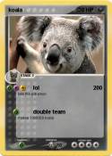koala