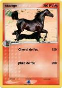 sauvage