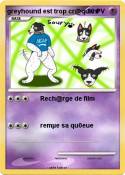 greyhound est