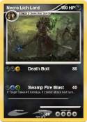 Necro Lich Lord
