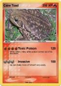 Cane Toad