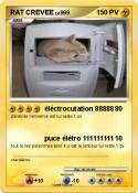 RAT CREVEE