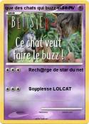 que des chats