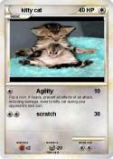 kitty cat