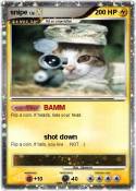 snipe