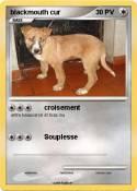 blackmouth cur