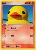 Duck