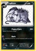 PupBone