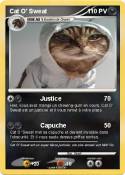 Cat O' Sweat