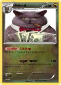 Pokecat