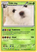 Cutie dog