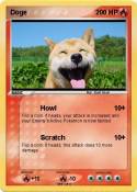 Doge