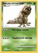 loup gris est
