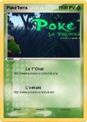 PokéTerra 11