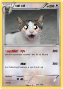 cut cat