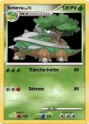 Torterra