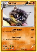 Mr. Cats