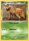 berger allemand