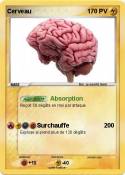 Cerveau