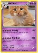 Mr Floof
