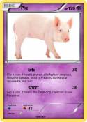 Pig