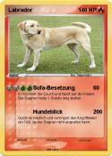 Labrador
