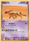 fennec fox