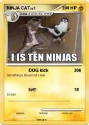 NINJA CAT