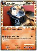 spy dog