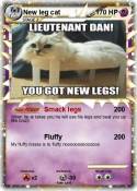 New leg cat