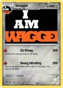 Swagger