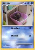 Kitty litter