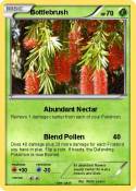 Bottlebrush