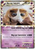 Big eye hamster