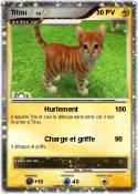 Titou ♂