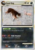 Dead Dog