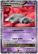 chaton flemmard